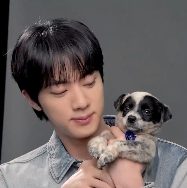 dailydolljin's tweet photo. https://t.co/WC5uJiDSUT