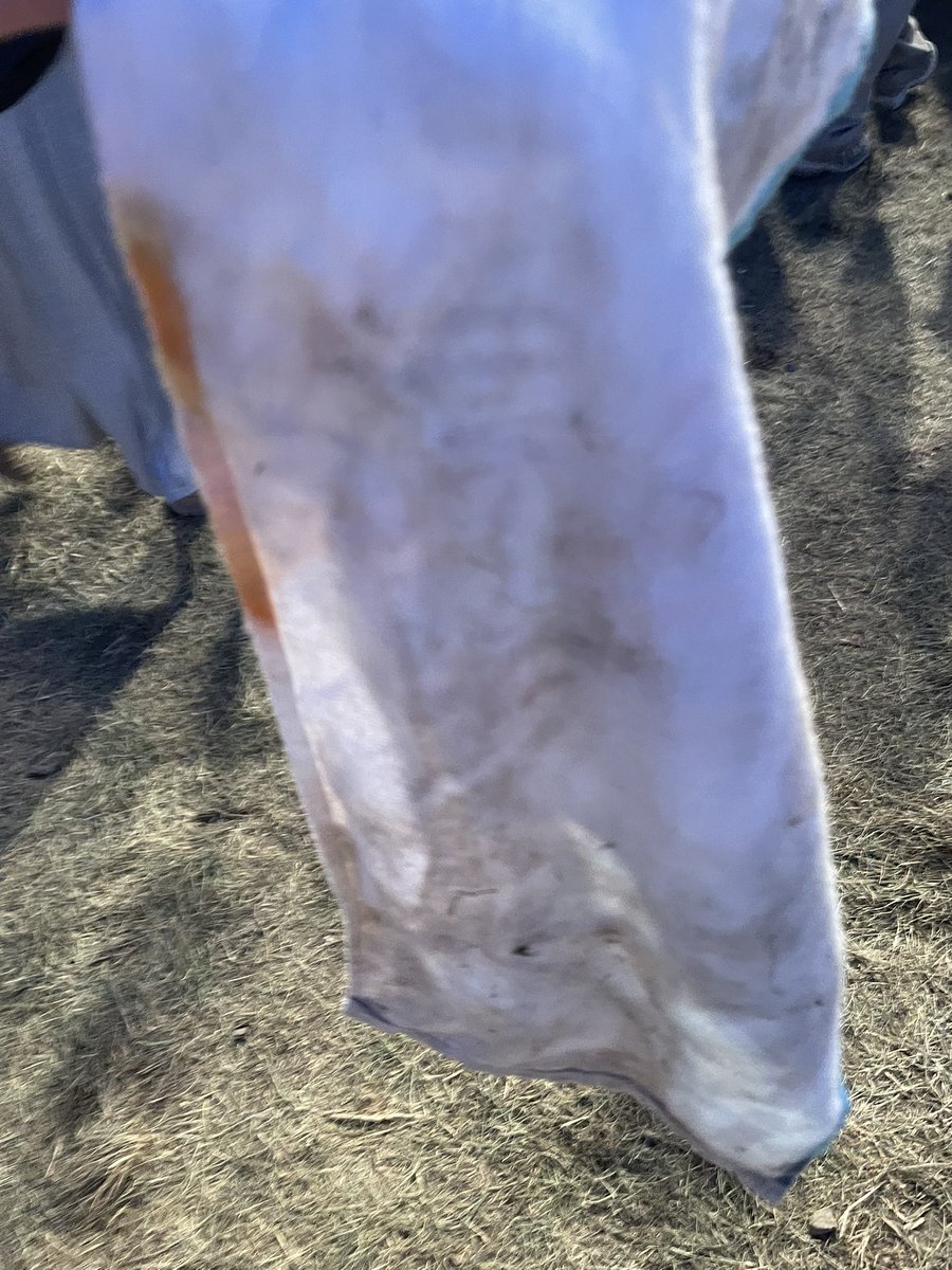 smkd824's tweet photo. メガネは壊れるわタオルは踏まれるわ帽子はどっかに行ってあのIMPACTはマジで治外法権だった笑 https://t.co/U5YT7LeYDi