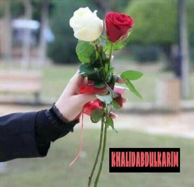 abeeralghanim92's tweet photo. @fahadalAjaji_35 @khalidabdlkarim اهني وابارج
ابعث التهنئه لصوت ونبض واحساس
أمير وبرنسيس الطرب والتطريب
الأستاذ الفنان
#خالد_عبدالكريم 
@khalidabdlkarim 
نزول اغنية الإختيار  المكبلهه السماعيه
كامله 
واتمنى له التوفيق ويتحفنا ويسعدنا ويفرحنا بالجديد https://t.co/fi9svwamlI