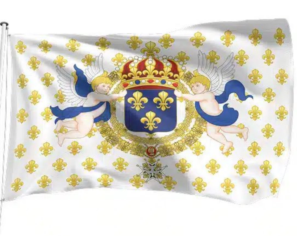 neuroboxing's tweet photo. @Mocking37679024 Belle assomption et Sainte Marie porterai plutôt ce drapeau aux véritables valeurs chrétiennes. ⚜️🙏 https://t.co/Fef5LUCQI5
