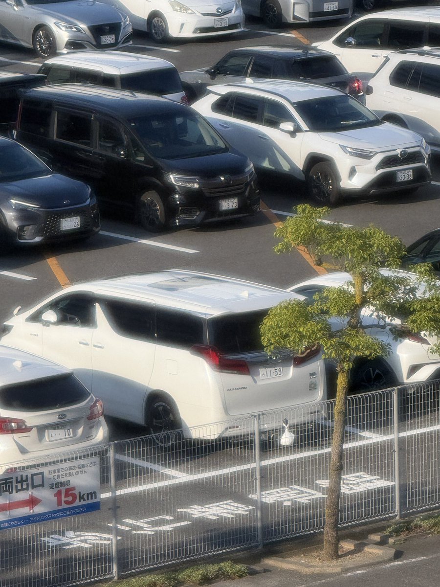 peeeei313's tweet photo. 屋根開いて星どこだろーって見れるのと
オムツはヒッチに引っ掛けてける
マジQOL爆上がり https://t.co/R6UMjHDCJB