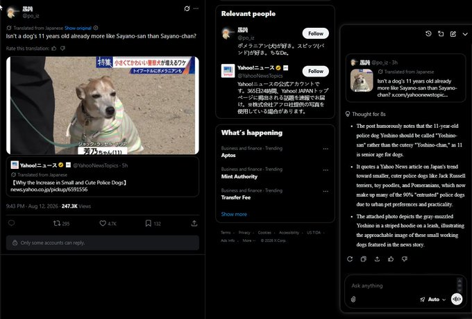 DeclanFogarty10's tweet photo. 247K VIEWS IN ONLY 9 HOURS IS INSANE..  

THIS DOGS NAME IS YOSHINO AND PEOPLE ARE DEBATING ON WHETHER TO CALL HIM 

Yoshino-san because hes old or Yoshino-chan  

The post by Japanese Yahoo also has 1.6M views in 5 hrs - 

https://t.co/wbjn6jKbjO https://t.co/UgKlF6X3Yy