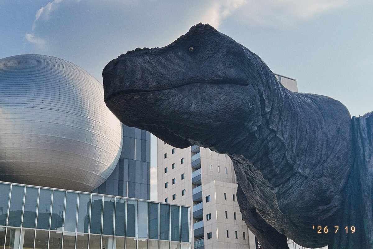 Paaani82's tweet photo. 🦕🦖 https://t.co/Bhh3Ptf7sn