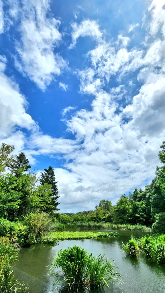 mh_11076's tweet photo. 圧倒的、夏 https://t.co/QsE0qwyy0n