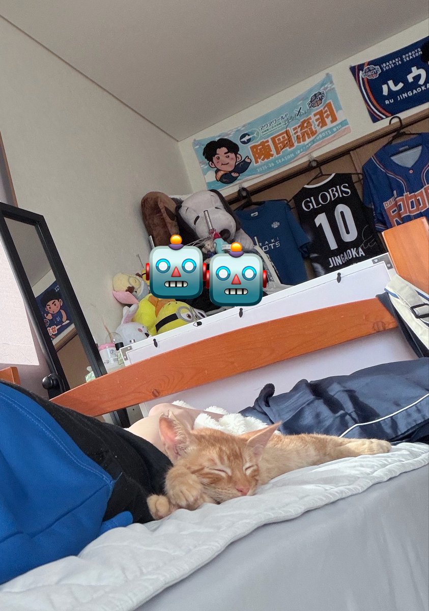 Haruka728s's tweet photo. トライアル3日目🐈
懐っこくて可愛いBOY

#茶トラ
#子猫 https://t.co/YQcM74jQTM