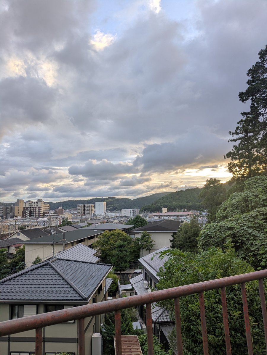 TanakaCheese's tweet photo. きょう。
ジムが盆休みだったので久しぶりのランニングと歩きを交互に。身体が重すぎた😂目的地に着いてゆっくり読書〜自然は心が洗われるからとても好き。 https://t.co/8k94No4Nyc