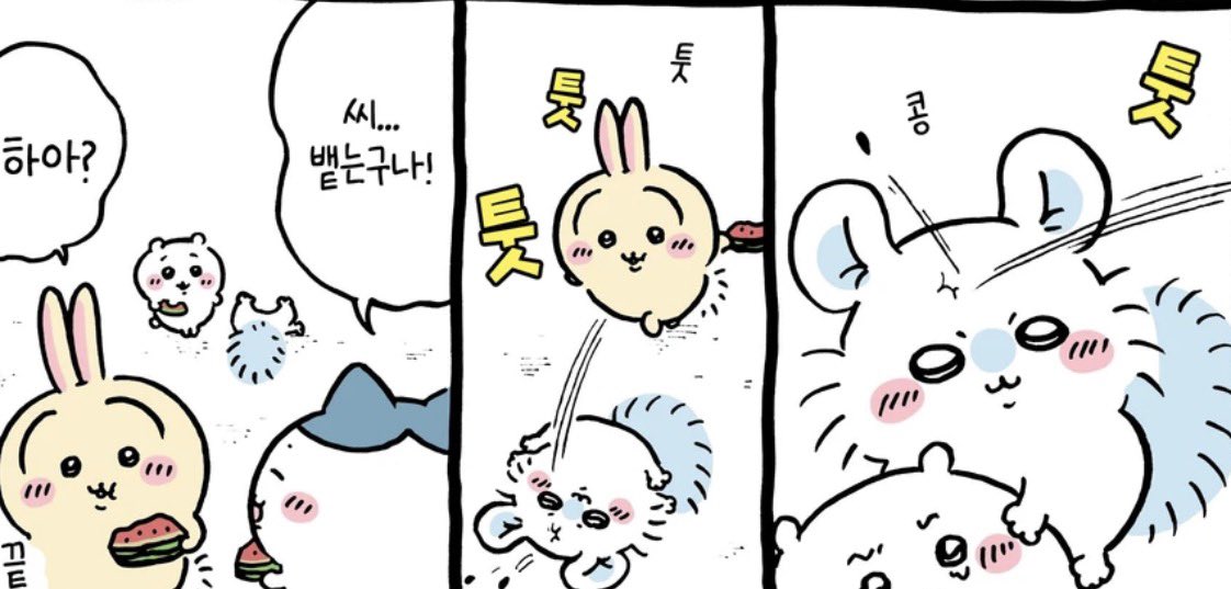 didiarchivedidi's tweet photo. 우사기 수박씨 안 뱉고 다 먹엇으면서 모몽가가 햄친구 괴롭히니까 이마빡에 씨 뱉는 거 존멋토깽이고 넘 웃김 
 
한편 하치: 아~ 씨 뱉는구낭 ◠‿◠ https://t.co/ogYLF2gTj2