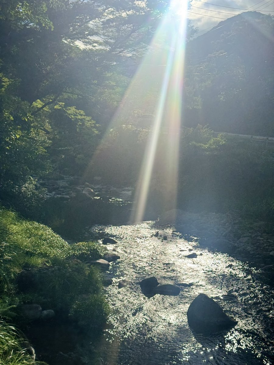 Ryakn17's tweet photo. 夏を詰め込んできた☺️ https://t.co/ix5kyW5AnL