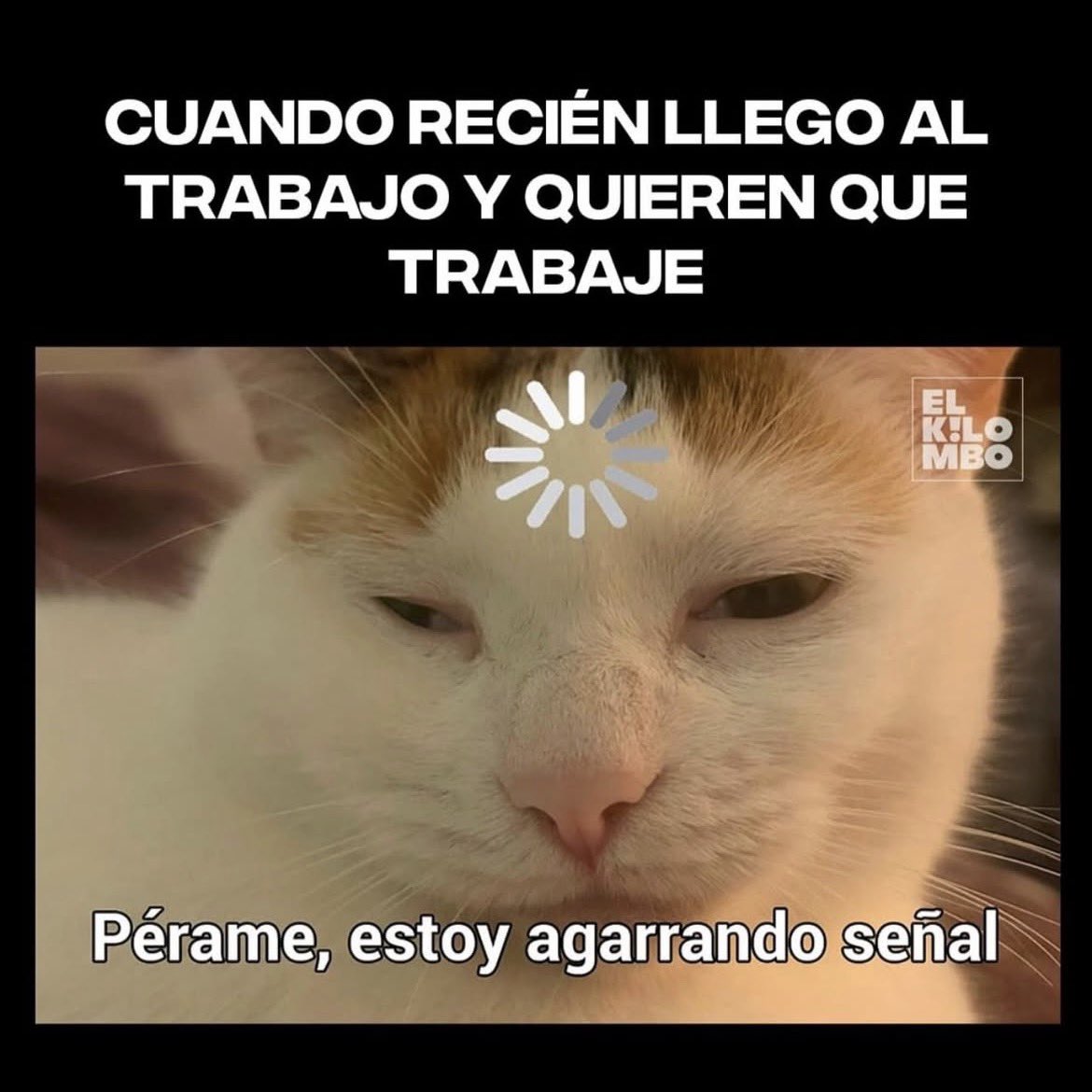 Santi_v7's tweet photo. Buen día para todos #atrabajar👷🏻♂️ #sabado https://t.co/A3lmXKiIYr