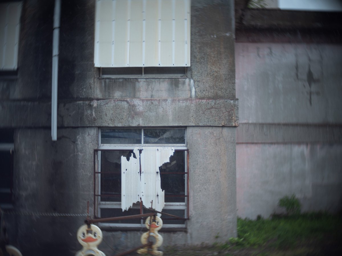 photo_kenji's tweet photo. #snap
#snapshot
#スナップ
#toylens
#トイレンズ
#slrmagic https://t.co/rxyx8XNkrw
