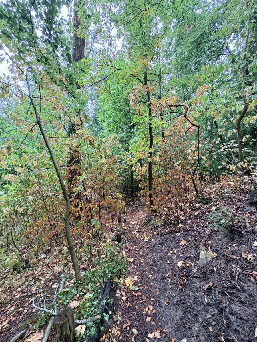 MichelleTrente2's tweet photo. De vogels zingen vandaag weer #vogels #herfst https://t.co/71U1ZO4OeZ
