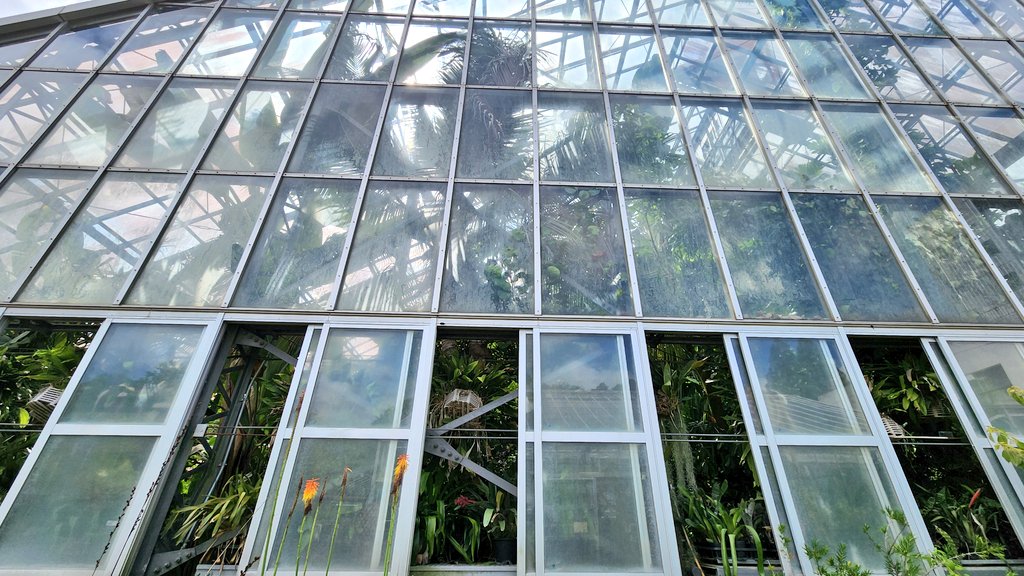 mh_11076's tweet photo. 筑波でした🌿 https://t.co/u8m4pMIIci