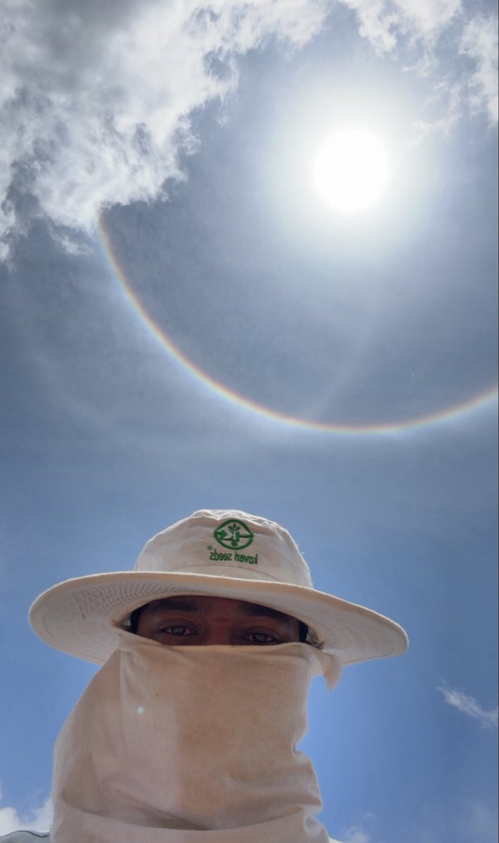 uttejreddyk's tweet photo. Nature marking the sky with a Halo, I’m marking the season with sweat. Halo above, Hustle below🌥️🌽🧬💪🏻👨🏻‍🌾 

#SolarHalo #FieldLife #FarmLife #MaizeBreeding #PlantBreeding #Agriculture #HustleMode #FieldDiaries https://t.co/8fw2YJONOC