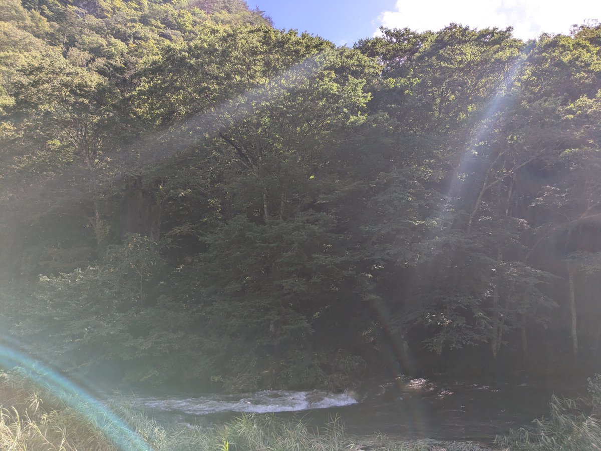araryou44's tweet photo. https://t.co/hqCXjtDk3O