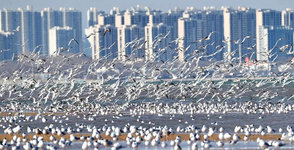 DailyBeijing tweet picture