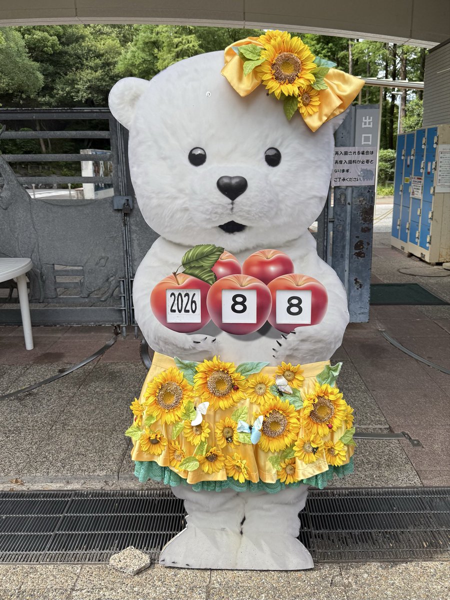 take_ev's tweet photo. よさこいで高知入りする前に寄り道🚗
1年ぶりに会いに行ってきました🐻‍❄️
相変わらず優しい顔に癒された😊

この日は令和八年八月八日、末広がりで縁起が良く結婚された方が多いとニュースで知りました。
おめでとうございます❣️

#愛媛県立とべ動物園
#白くまピース

2026.8.8 https://t.co/rJcT9eifxe