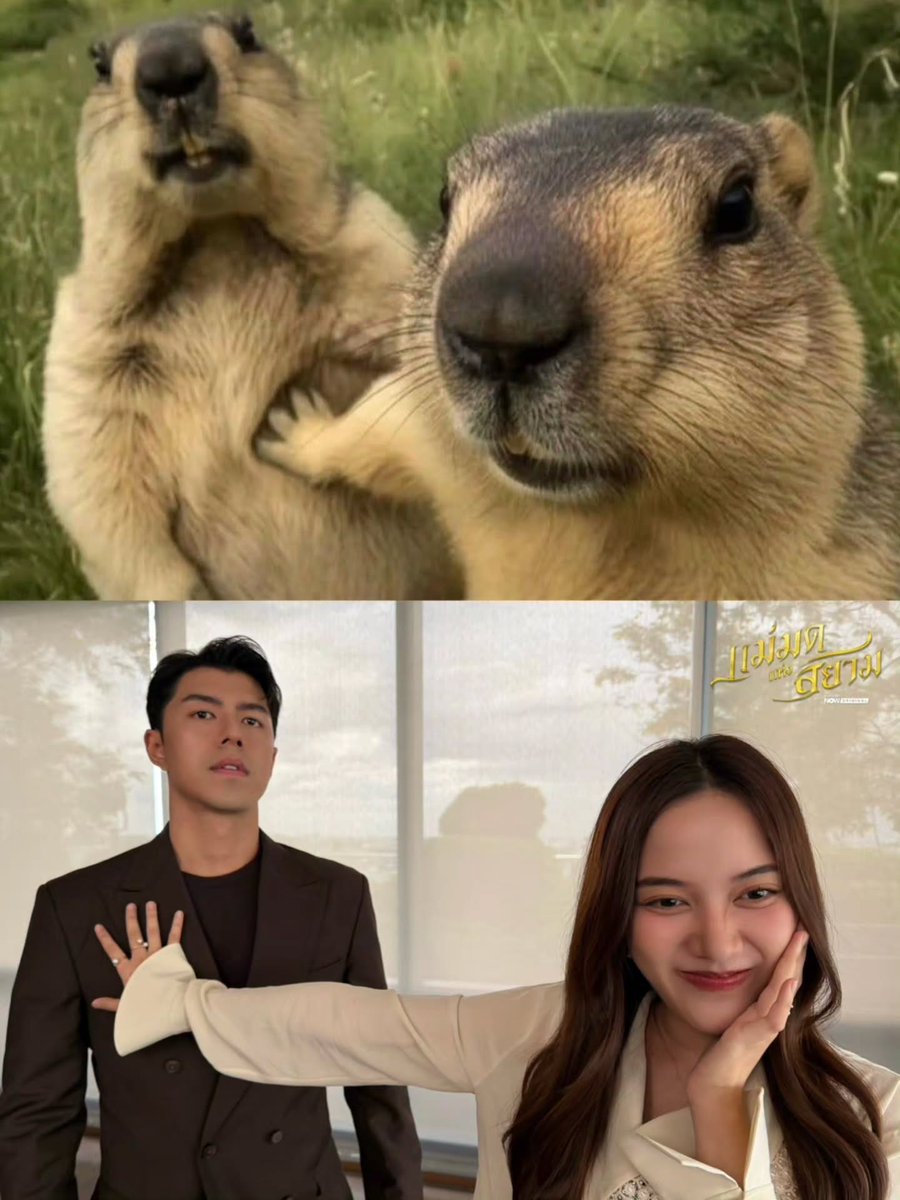 itsbecfreen_'s tweet photo. THIS IS SO CUTE OMGGG

#แม่มดแห่งสยาม
#srchafreen https://t.co/Ea9JyyVBMy