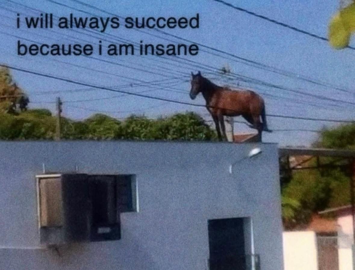 DaGeoKat's tweet photo. This image summarizes a surprisingly large amount of my endeavors https://t.co/MhLxhSIGRx