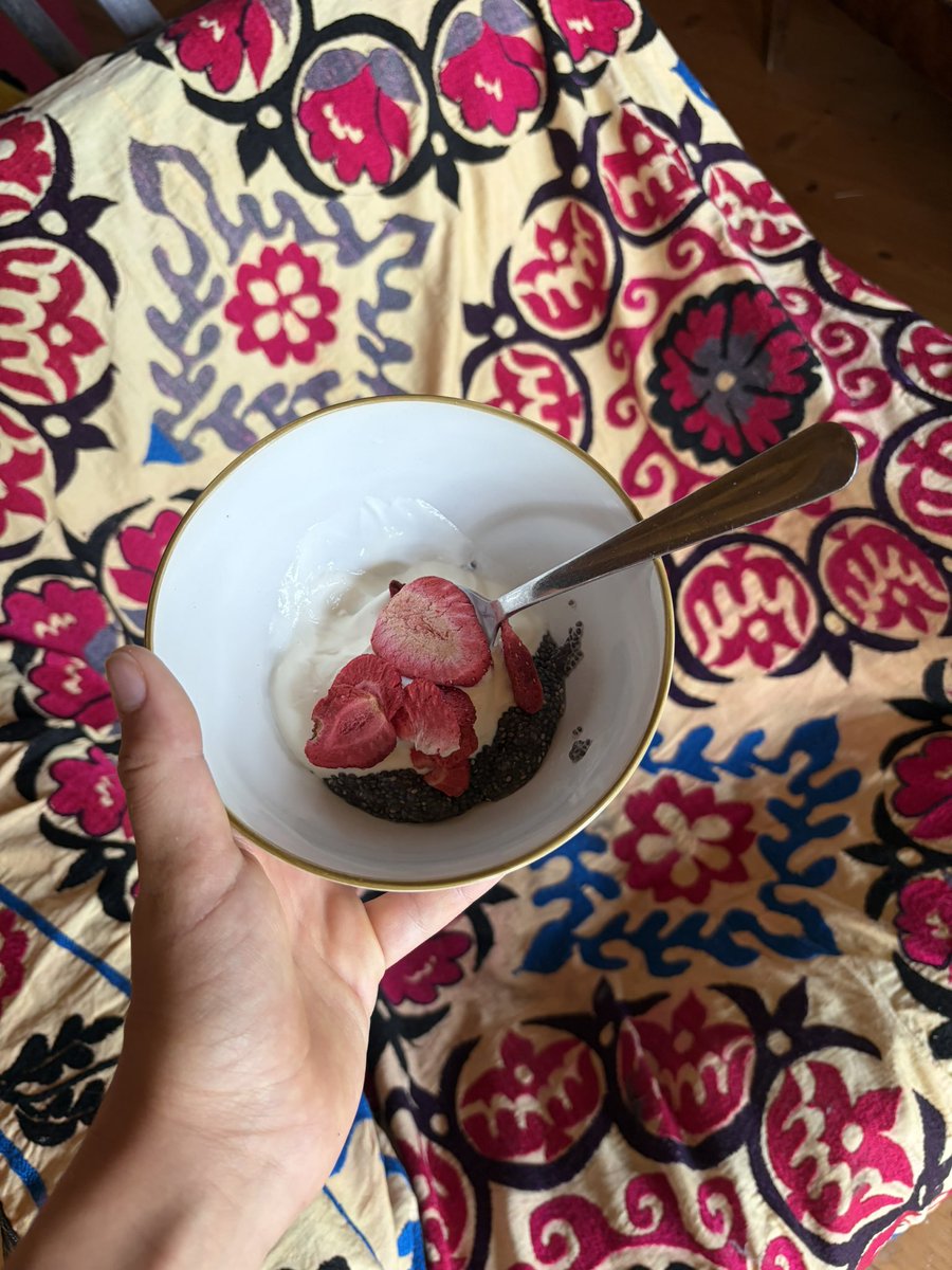 st4rlightwind's tweet photo. lunch !! 120 kcal !!
1tbs chia seeds
3tbs greek yoghurt 
and some dry strawberries!!#edrtwtㅤ https://t.co/BIi9gABVdd