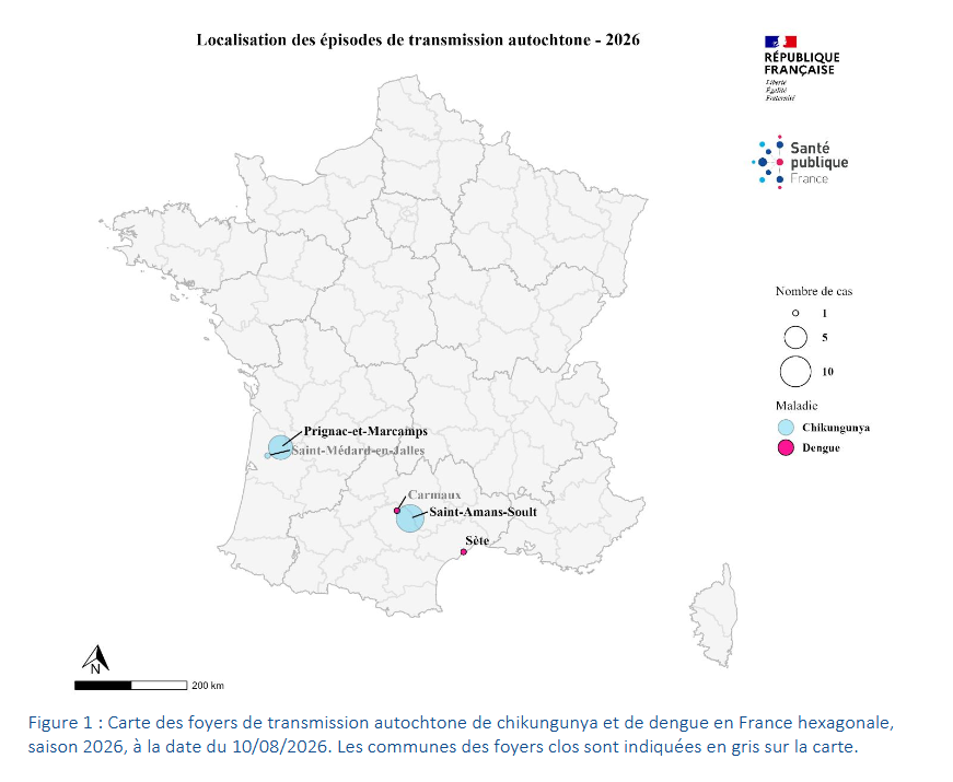 nicolasberrod's tweet photo. 🦟 De plus en plus de cas autochtones de maladies transmises par les #moustiques en France métropolitaine👇🏻

• 6 de virus du Nil occidental*
• 2 de dengue 
• 15 de chikungunya

Tous, pour le moment, dans le Sud du pays (mais il y peut désormais y en avoir partout).

1/2