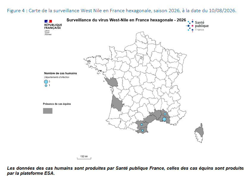 nicolasberrod's tweet photo. 🦟 De plus en plus de cas autochtones de maladies transmises par les #moustiques en France métropolitaine👇🏻

• 6 de virus du Nil occidental*
• 2 de dengue 
• 15 de chikungunya

Tous, pour le moment, dans le Sud du pays (mais il y peut désormais y en avoir partout).

1/2