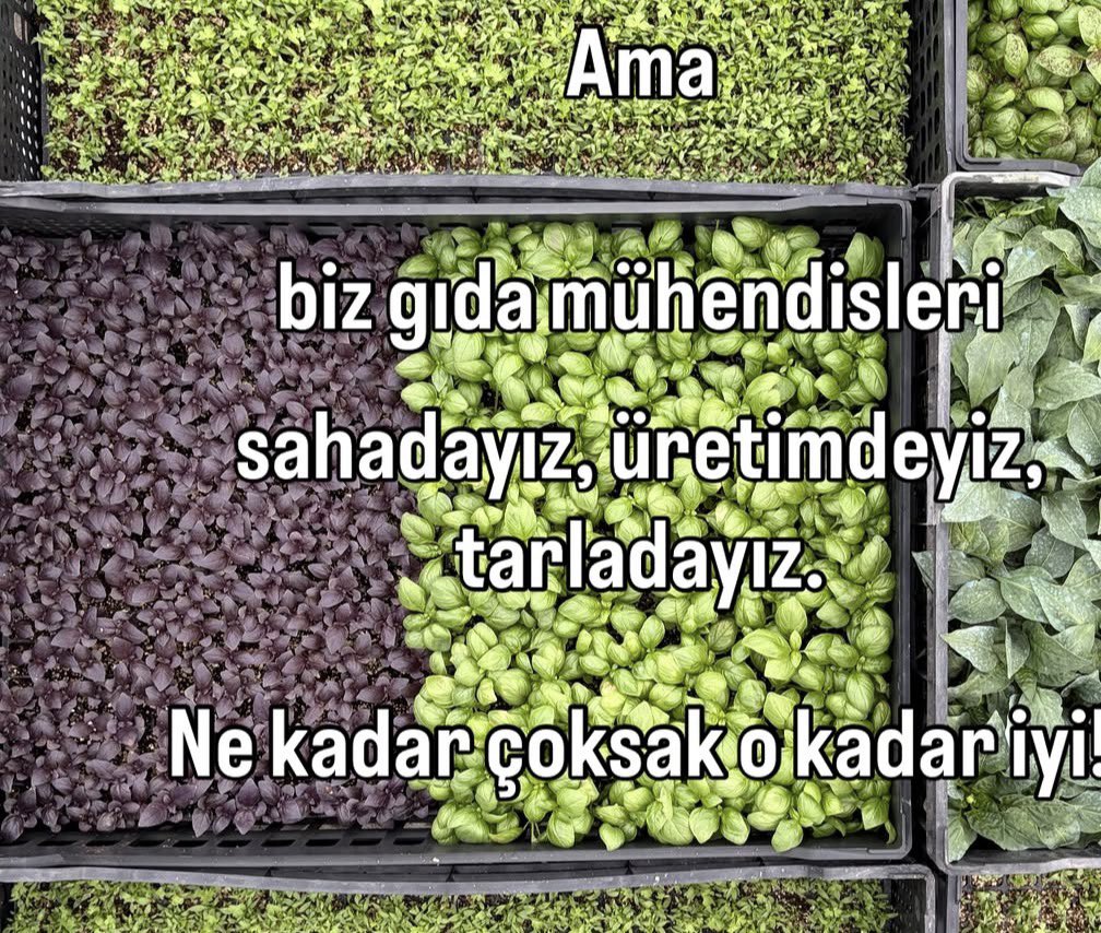 kvbraaaaaa's tweet photo. Gıda mühendisiyim arkdslr https://t.co/T3UBJUnPsP