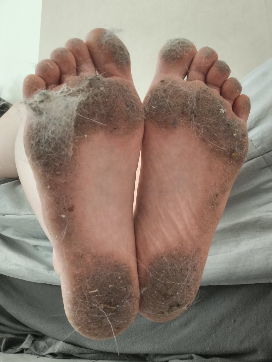 MisssAnnnna's tweet photo. Qui va venir nettoyer mes pieds après le ménage ? 

#pied #piedsales #feet #feetfetısh #soumis #moneyslave #finD #findom #slave 

@Brun0Parent https://t.co/LOhKwUIfmB