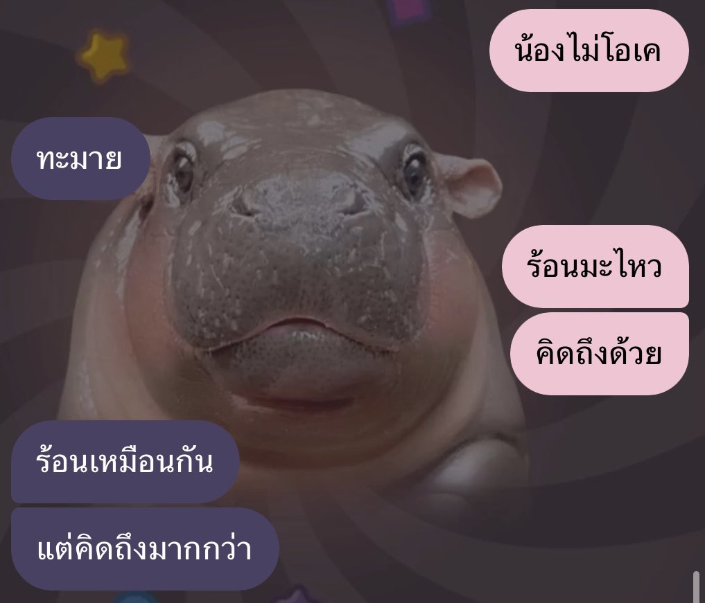 matchawhitechoc's tweet photo. มาแบ่งปันโมนเมนต์ข้อความจากแฟนที่เห็นครั้งแรกแล้วเขินดิ้นอยู่นานเลยค่ะ แถมตอนนี้ก็ยังเขิน ดีใจที่มีอะไรดี ๆ แบบนี้อยู่ในทุก ๆ วันเลย รักเขา 🥺💕 https://t.co/ZCZrmrZtVj