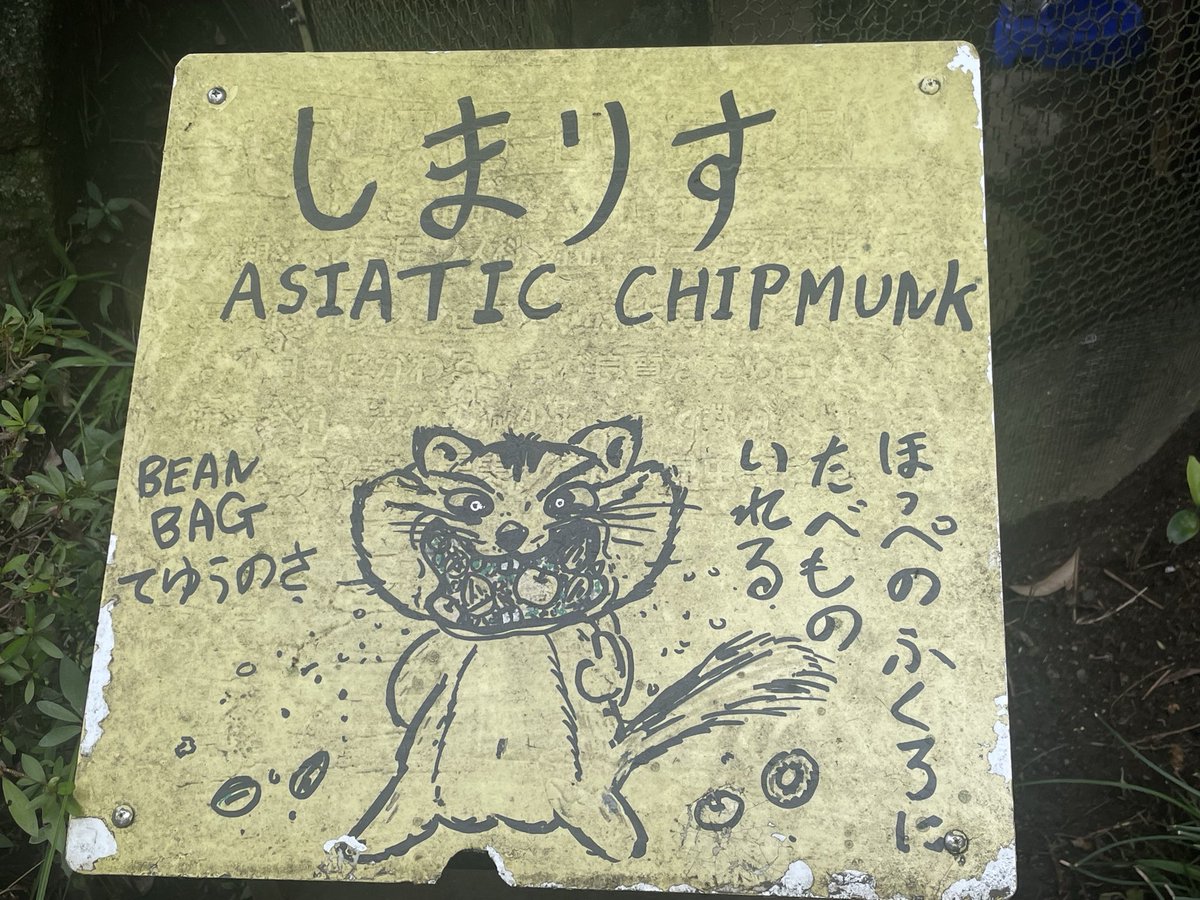 lichmatsuri's tweet photo. これは絵柄が独特なリスの注意書き https://t.co/Wf5Vmn94pi