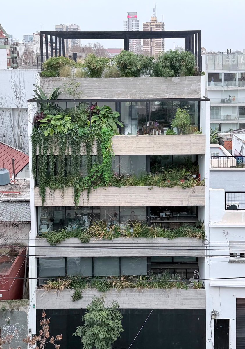 lagarzasosa_'s tweet photo. Un vecino me mandó la foto de nuestro edificio. 
La selva que siempre soñamos tener https://t.co/0PE3MWR075