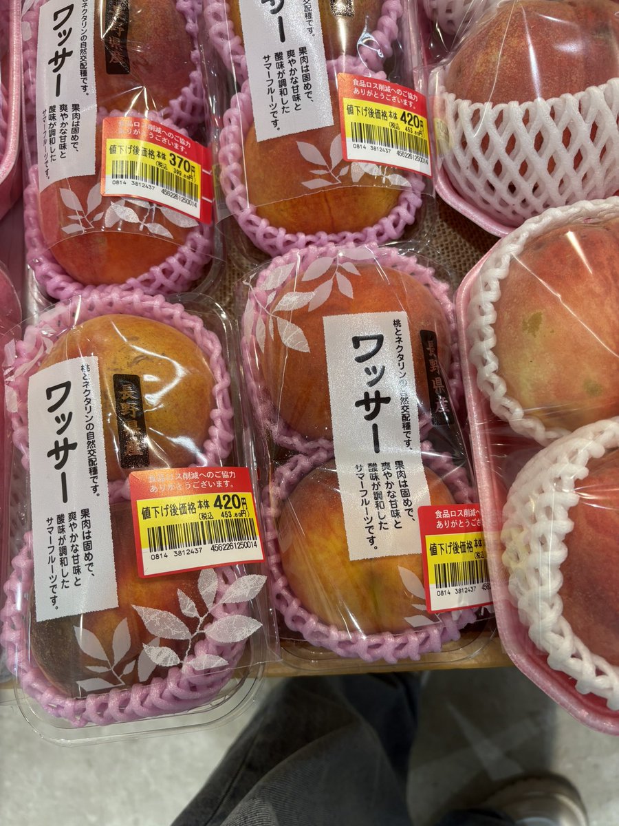 Ruumando_YT's tweet photo. いただきワッサー
#ラブ上等2 https://t.co/UfdXOAOjNf