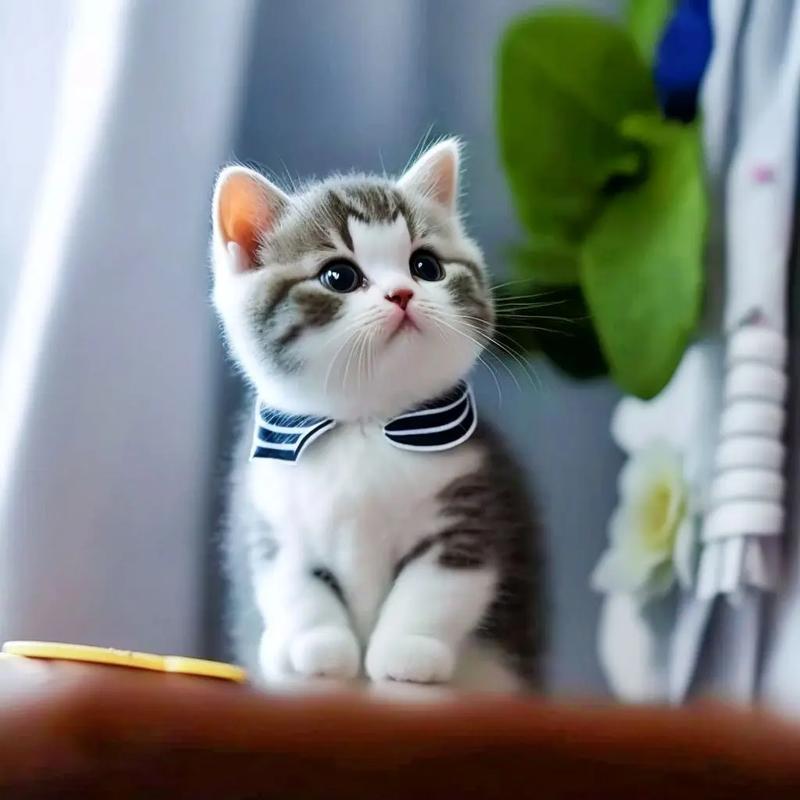Hanif52173408's tweet photo. You are worthy of every softness and loveliness life has to offer, for your constant kindness and dedication have earned it. https://t.co/vtESJhH8zM