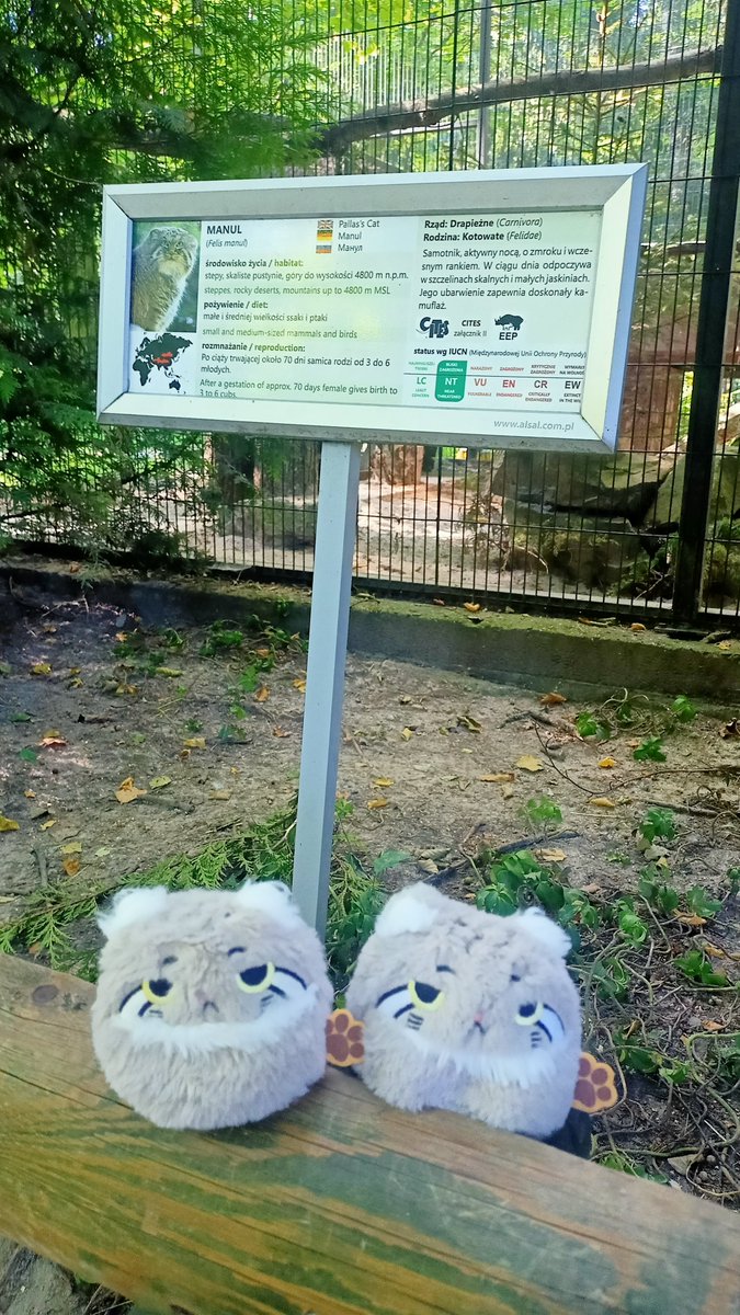 MikeSierra35's tweet photo. Tsas from Kraków zoo https://t.co/PHyMla12Ig