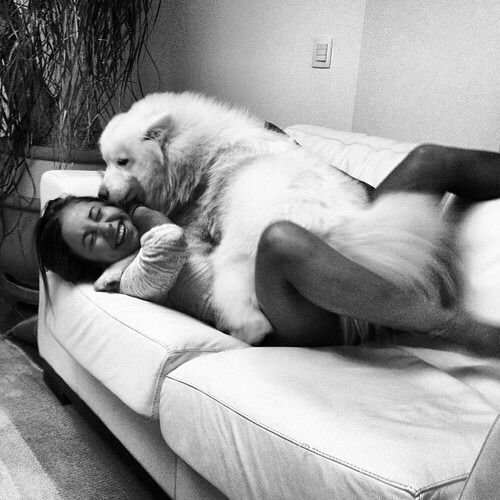 dthakur315's tweet photo. Left full and leaking…
Private members already watched it.
Link in bio
#dogs #K9 #USA https://t.co/ylH2dhUHCv