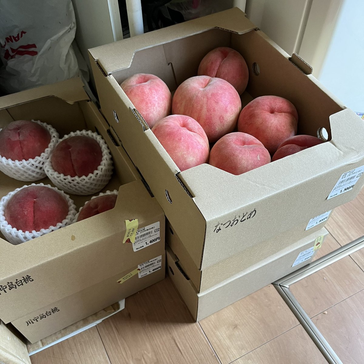 mi19rabbit's tweet photo. 桃フェス開幕じゃー!!(((o(*ﾟ▽ﾟ*)o)))🍑 https://t.co/D8kVWARxF5