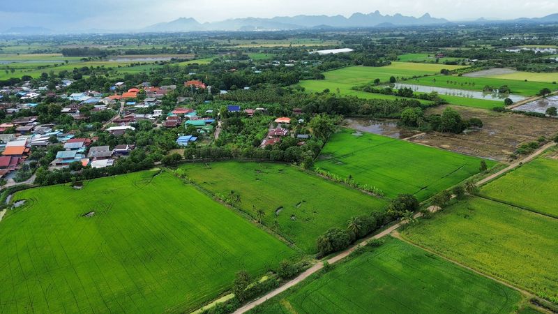 Asset_Internal's tweet photo. 🔥ที่นา 7-3-08 ไร่ ใกล้หมู่บ้านและสถานีรถไฟบ้านกลับ ตำบลบ้านกลับ อำเภอหนองโดน จังหวัดสระบุรี

✅ ราคา 1,700,000 บาท (220,000 บาท/ไ���่)
———————————————
😊🙏🏻 สอบถามข้อมูลเพิ่มเติม นัดชมสถานที่
Tel : 061-154-7890 ( ดิว )
Line (ID) : stpd1991 https://t.co/hf0iZvrfzT