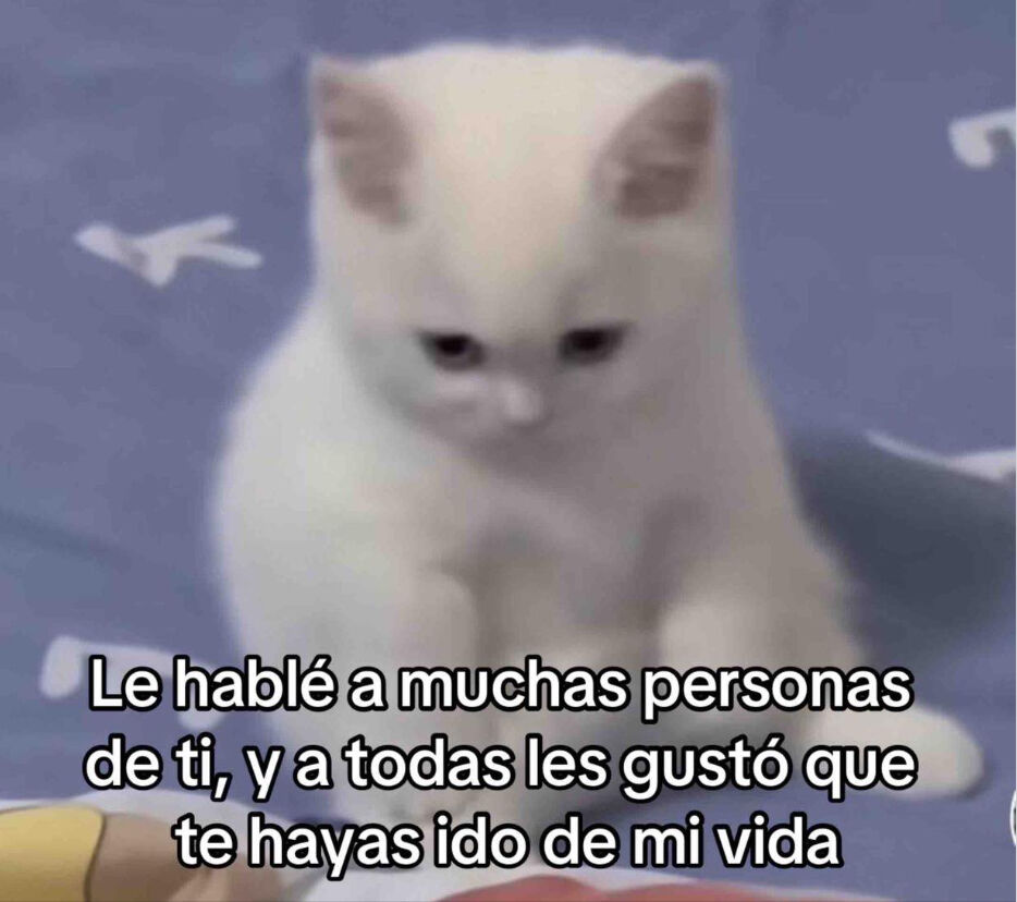 cornulda's tweet photo. les hablé de ti https://t.co/zcj5ikAtJF