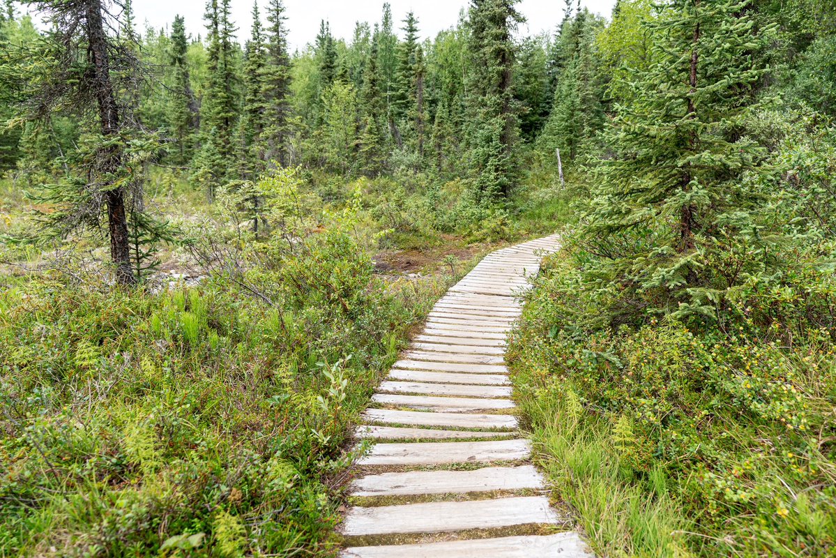Franklin_Graham's tweet photo. “Trust in the Lord with all your heart, and lean not on your own understanding; in all your ways acknowledge Him, and He shall direct your paths.” (Proverbs 3:5-6) #Alaska https://t.co/gUoKSmUCNd