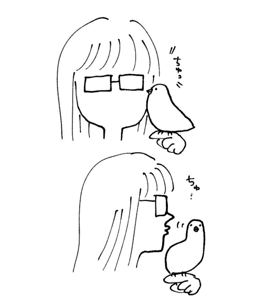 azucocco's tweet photo. インコ https://t.co/QCJpzPdpc6