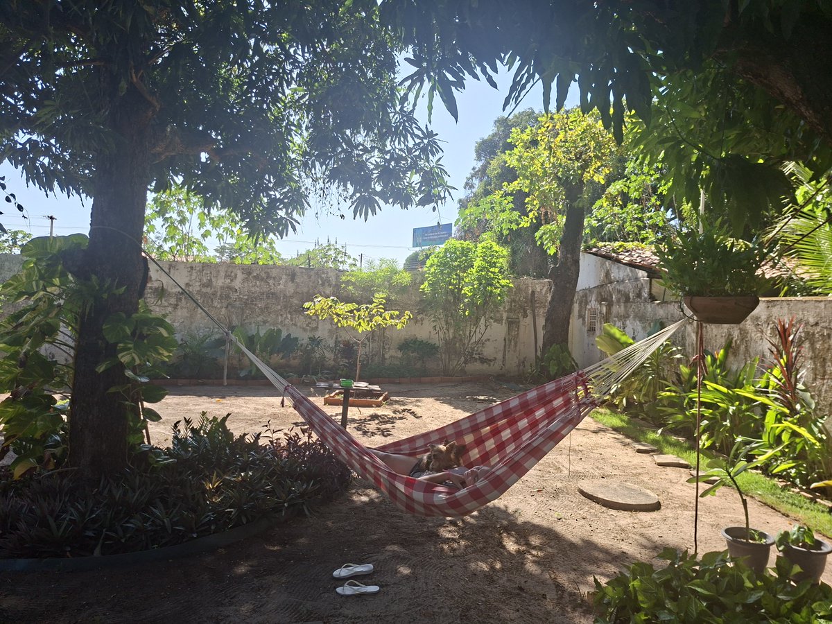 Sobreirano's tweet photo. Eu tenho a casa mais bonita do mundo https://t.co/Havet1DHbH