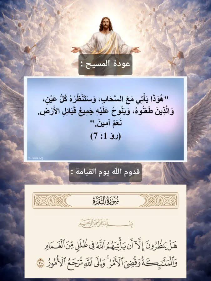 masry00800's tweet photo. @TheLastSocrates https://t.co/jyYJbGK9ze