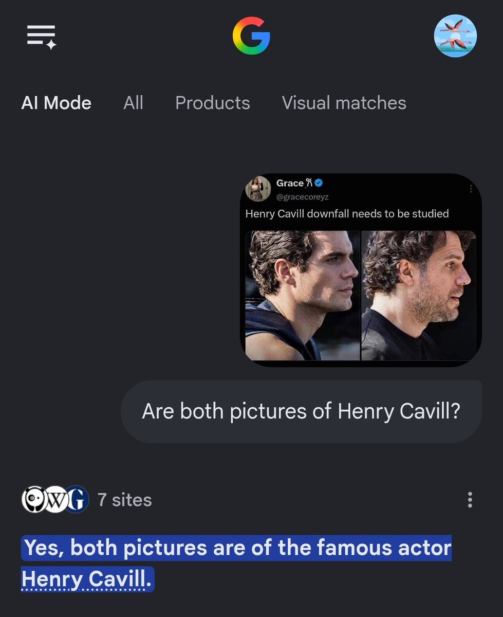 gracecoreyz's tweet photo. I asked Google Gemini as well—you can see the answer for yourself. https://t.co/xWNR3i7ijI