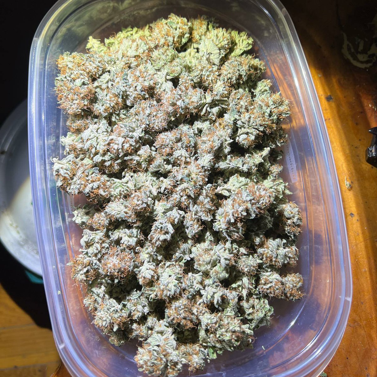 shutiao420's tweet photo. 暂时不接任何订单哦，也不提醒大家不要上当受骗，福利包也会在后续给大家安排上，关注薯条不迷路 https://t.co/gaAUd1RiPq