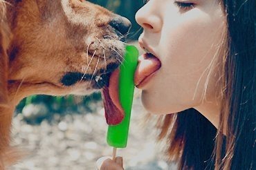 PrettyPawPrin's tweet photo. My pup brings endless smiles and positive energy wherever we go 🐕💖 Come enjoy the adventure with us

https://t.co/tDsPQVZq3X https://t.co/vauChF2bBt