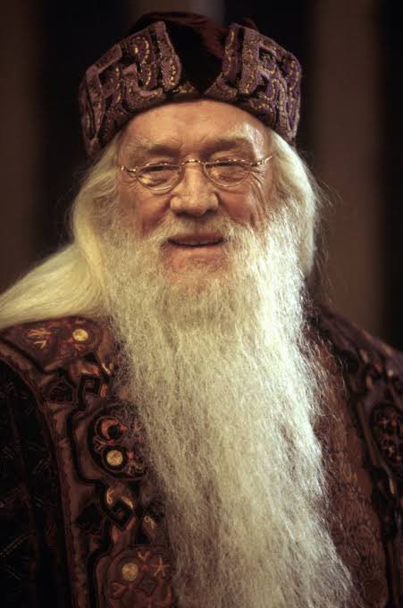 cacocardassi's tweet photo. Não importa em qual versão seja, Dumbledore tem estilo. https://t.co/4L3ilNKeT4