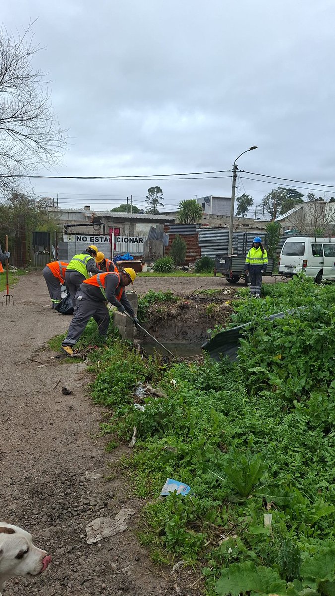 Leoherou's tweet photo. Sábado de mucha actividad y cercanía.
En el Municipio F recorrimos barrios, interviniendo en el drenaje para prevenir inundaciones.
En 18 de Julio, junto al Grupo Centro y el Municipio B, compartimos educación ambiental y celebramos el Día de las Infancias. https://t.co/z8tKGT9KMq
