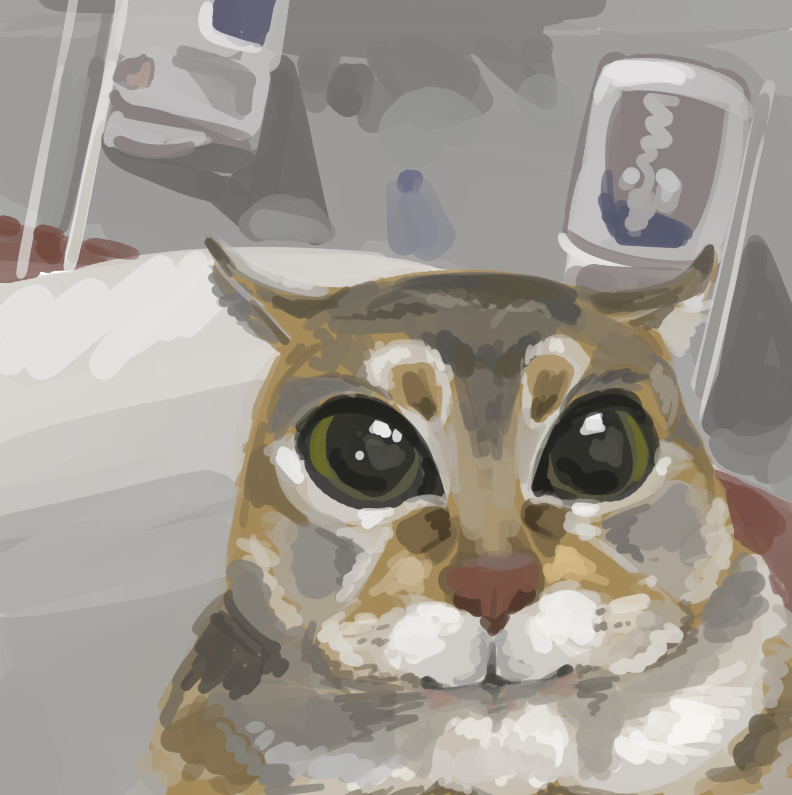 Fanicccc_'s tweet photo. meowrk https://t.co/pxc0ahXZWn