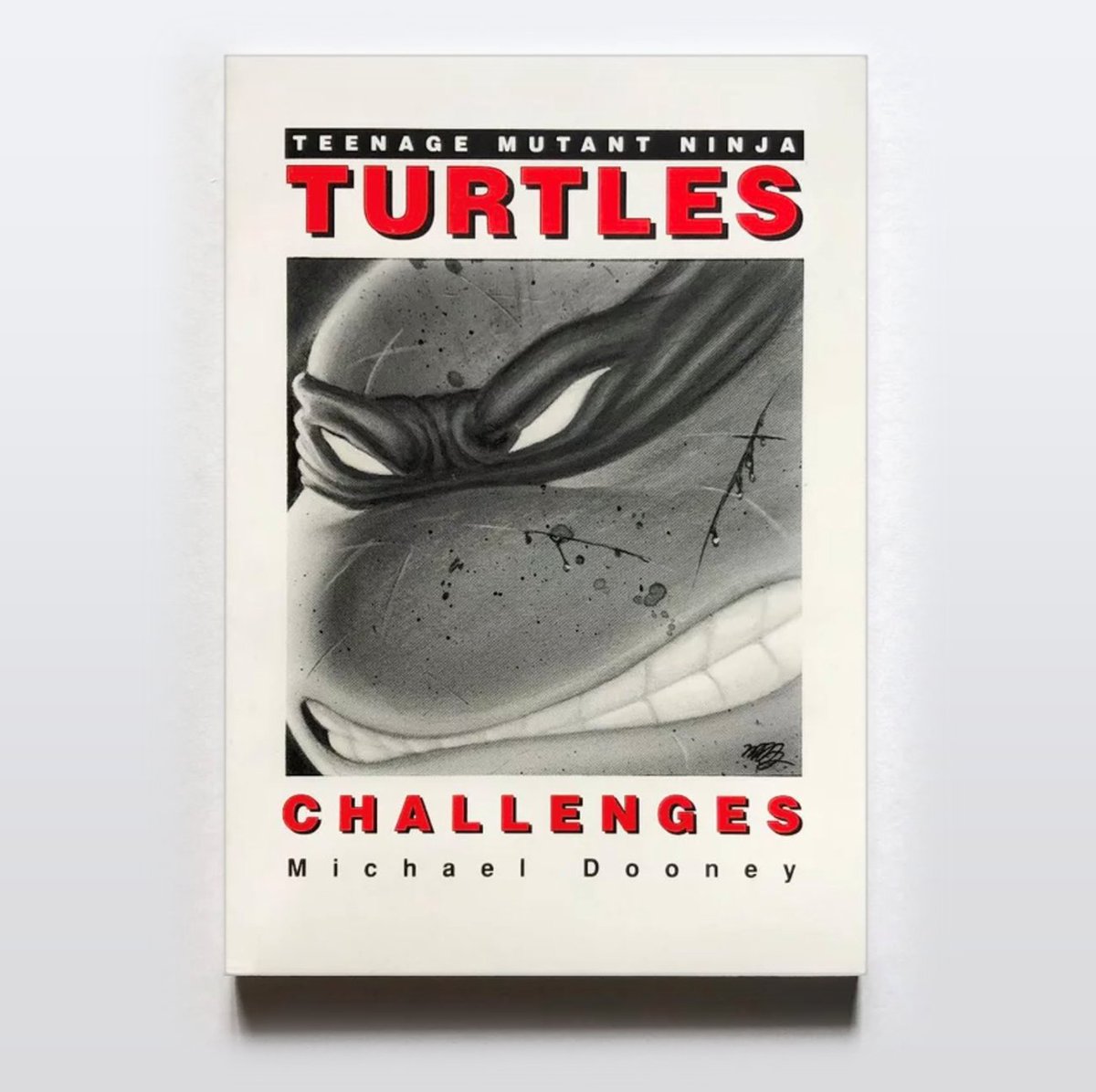 MyTMNTChannel tweet picture