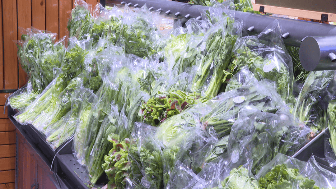 RLynch7763's tweet photo. Fresh seasonal veggies from the local farm just arrived at our store—crisp spinach, juicy cherry tomatoes and sweet corn! Perfect for your weekend meal prep. Shop now while supplies last! https://t.co/7VhARD1GIf