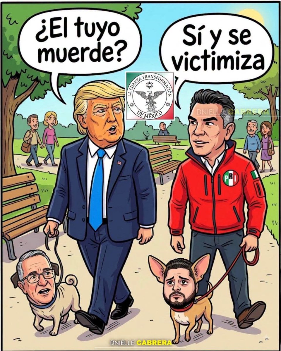 4t_news_'s tweet photo. #LaPerritaDeTrump 🐩 y #LaPerritaDeAlito 🐩 https://t.co/6wL4kUPXa7